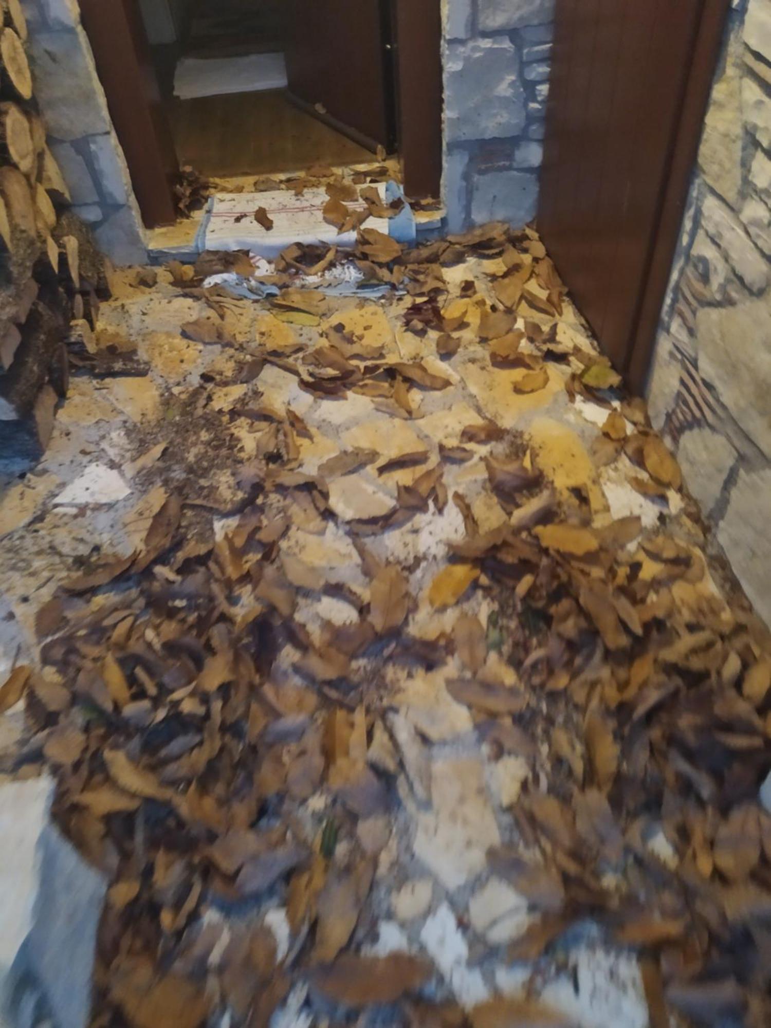 Guesthouse Petrino Pezoúla المظهر الخارجي الصورة